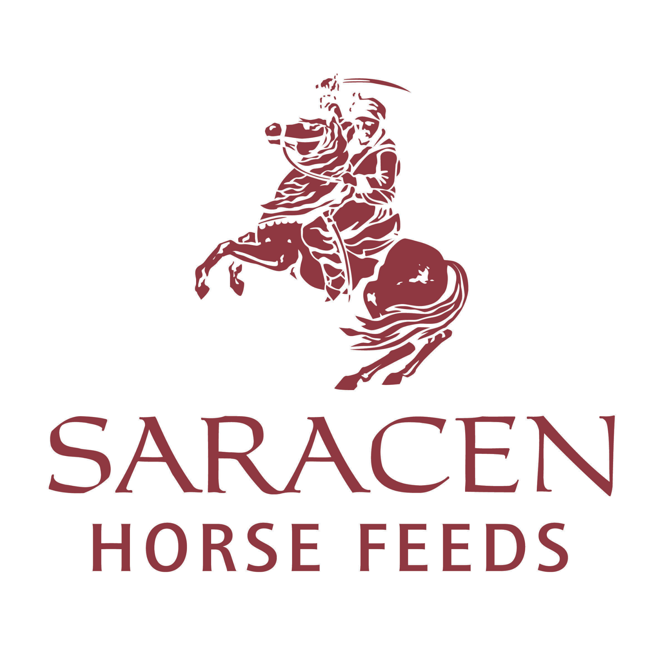 Saracen 